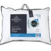 The Fine Bedding Company Spundown Firm Support Pillow -Best Bedding Store 1192 22105